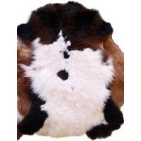 Агнешка кожа