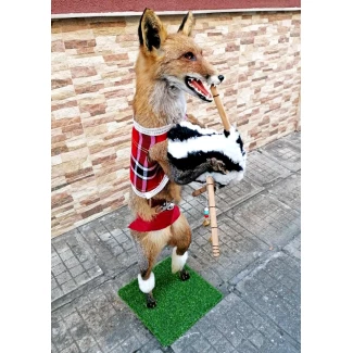 Препарирана лисица- "гайдарка"