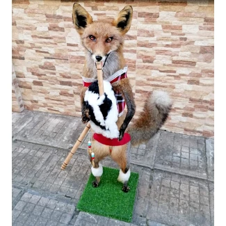 Препарирана лисица- "гайдарка"