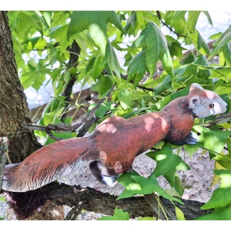 Градинска фигура "Бягаща катерица"