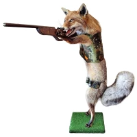 Препарирана лисица- "ловджийка"