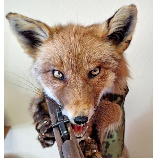 Препарирана лисица- "ловджийка"