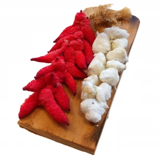 Магнит "Чесън и чушки"