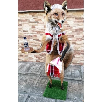 Препарирана лисица- "сервитьорка"