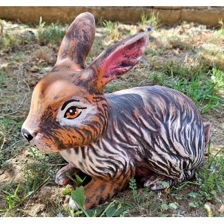 Заек, легнал, кафяв